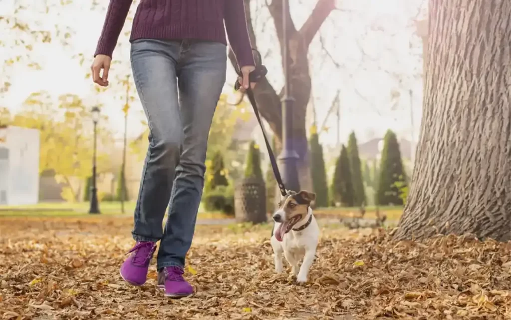 Soğuk bir havada ormanlık alanda köpeğini gezdiren kadın