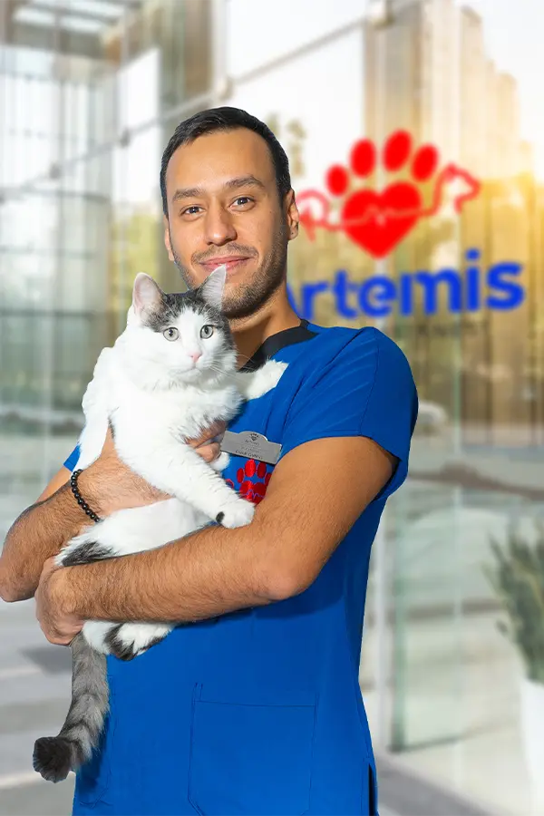 Burak Gümüş
