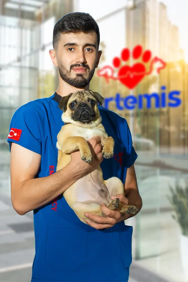 Durmuş Aşkın