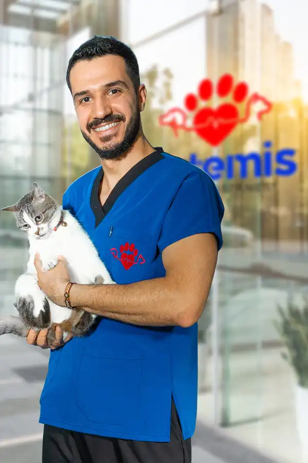 Mehmet Yıldız